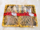 SÂM TƯƠI HÀN QUỐC: SIÊU_TO_KHỔNG_ LỒỒỒỒỒỒỒỒỒ