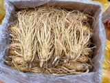SÂM TƯƠI 6 NĂM TUỔI