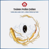 VIÊN THIÊN SÂM ĐÔNG TRÙNG HẠ THẢO KINGSIZE 180V