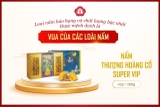 NẤM THƯỢNG HOÀNG CỔ SUPER VIP HỘP 1000G