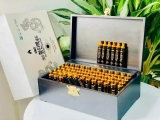 BỔ DƯỢC HOÀNG ĐẾ