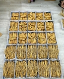 SÂM TƯƠI 6 NĂM TUỔI