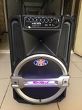 Loa kéo di động Ronamax T12, loa karaoke vỏ nhựa, bass 3 tấc, chính hãng