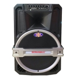Loa kéo di động Ronamax T12, loa karaoke vỏ nhựa, bass 3 tấc, chính hãng