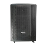 Loa ACNOS CB501GN - giá cực tốt