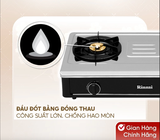 Bếp gas dương Rinnai RV-B271SB(S)