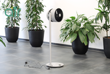 QUẠT ĐỐI LƯU BONECO F235