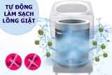 Casper WT-8NG2 Máy Giặt 8 kg giá tốt nhất