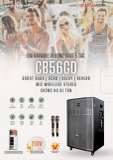Loa Karaoke Acnos CB56GD - Giá Cực Tốt