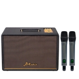 Loa Karaoke ACNOS D'Auris 300