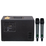 Loa Karaoke ACNOS D'Auris 300