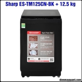Máy giặt Sharp 12.5 kg ES-TM125CN-BK