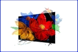 Google Tivi QLED TCL 4K 65 inch 65P7K