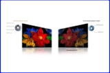 Google Tivi QLED TCL 43S5K Full HD 43 inch