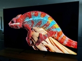 Google Tivi Sony Mini LED 65 inch K-65XR50