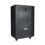 Loa Karaoke Acnos CB56GD - Giá Cực Tốt