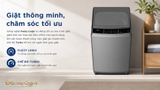 Máy giặt cửa trên Midea 9.5kg MA200W95