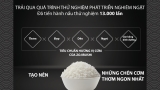 Nồi Cơm Điện Cao Tần IH Zojirushi 1 Lít NW-QAQ10