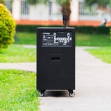 Loa Kéo Bình & Điện Nanomax Pro-218C Bass Đôi 50cm 3000w