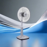 Quạt lửng nhựa Asia Vina 55W VY358792