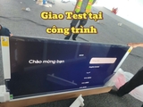 Google Tivi QLED TCL 4K 65 inch 65P8K