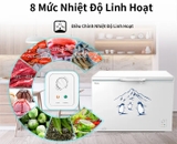 Tủ đông Hisense 300 lít FC380D4EWC1