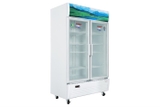 Tủ mát Sanaky 1100 lít VH-1209HP giá rẻ, giao miễn phí