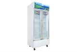 Tủ Mát Sanaky 700 lít VH-8009HP giá rẻ, giao miễn phí