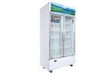 Tủ Mát Sanaky 900 lít VH-1009HP giá rẻ, giao miễn phí
