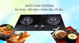Bếp Gas Âm Malloca GHG 732A