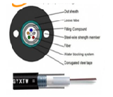 Cáp quang 24Fo (ZC-GYXTW-24C-SM-G652D )