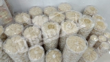 Yến thô loại 1 trọng lượng 100gr