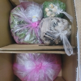 Rắn hổ hành- đặc sản Mỹ Tho chế biến theo yêu cầu