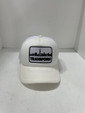 sample 4