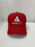 sample 3