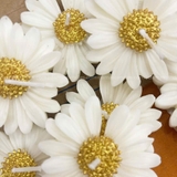 DAMAS - QTSX - 38