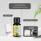 GARDENIA