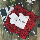 DAISY PEONY MUSK