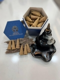 Hộp 65 nụ trầm cấy thiên nhiên - Preorder