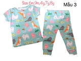 Bộ cotton hàng XNVK xịn- mẫu 3 ( size US)