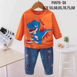Bộ thun cotton xuất hàn T-Rex