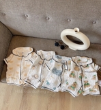 Bộ pijama đũi xốp - ship random màu