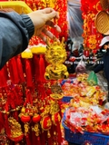 Rồng vàng kim tiền