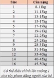 Áo dài taffa vàng kết dây - 1y