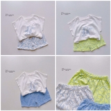 Bộ cotton sược mềm in khủng long
