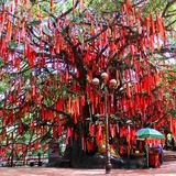 Set 100 dây ước nguyện