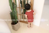 Bộ thun gân hè MinkyMom