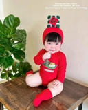 Full set bodysuit + mũ + tất " bánh chưng"