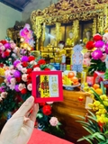 Bộ giải hạn Tam Tai 2025 ( tuổi Hợi, Mão, Mùi)