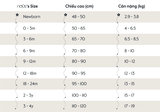 Nous body cộc xanh